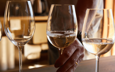 Les grands vignobles français : guide complet des régions viticoles et des grands vins